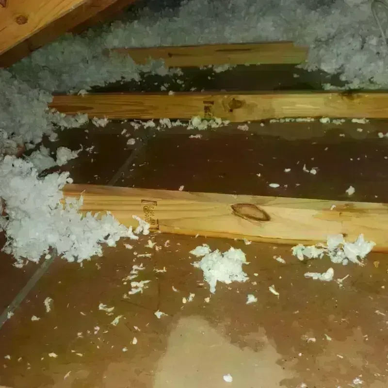 Attic Water Damage in Johnston County, OK