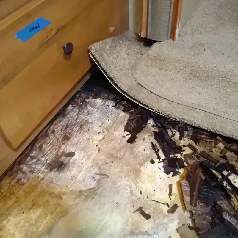 Wood Floor Water Damage in Johnston County, OK